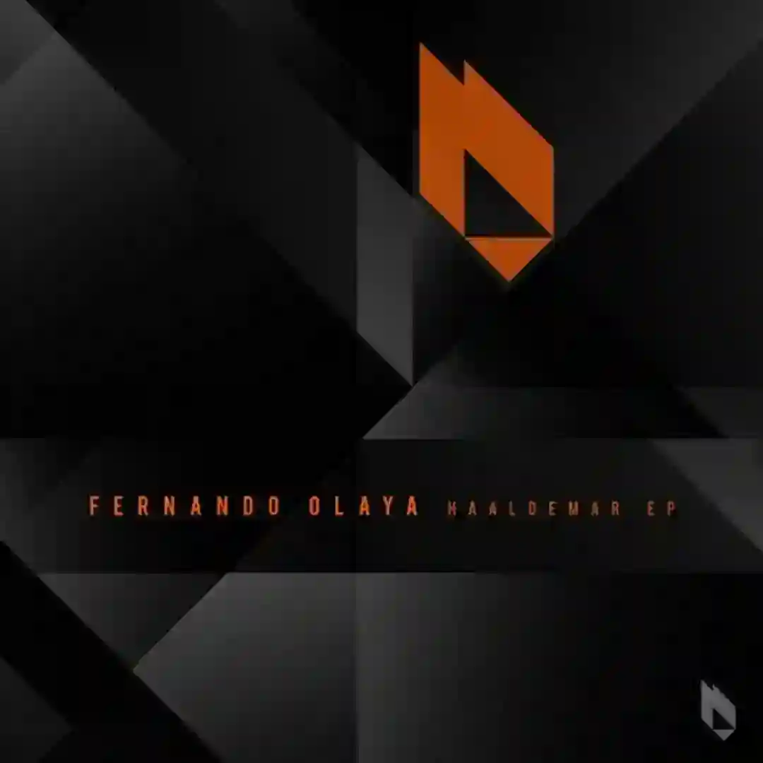 The Flight Of The Condor (Original Mix) cover