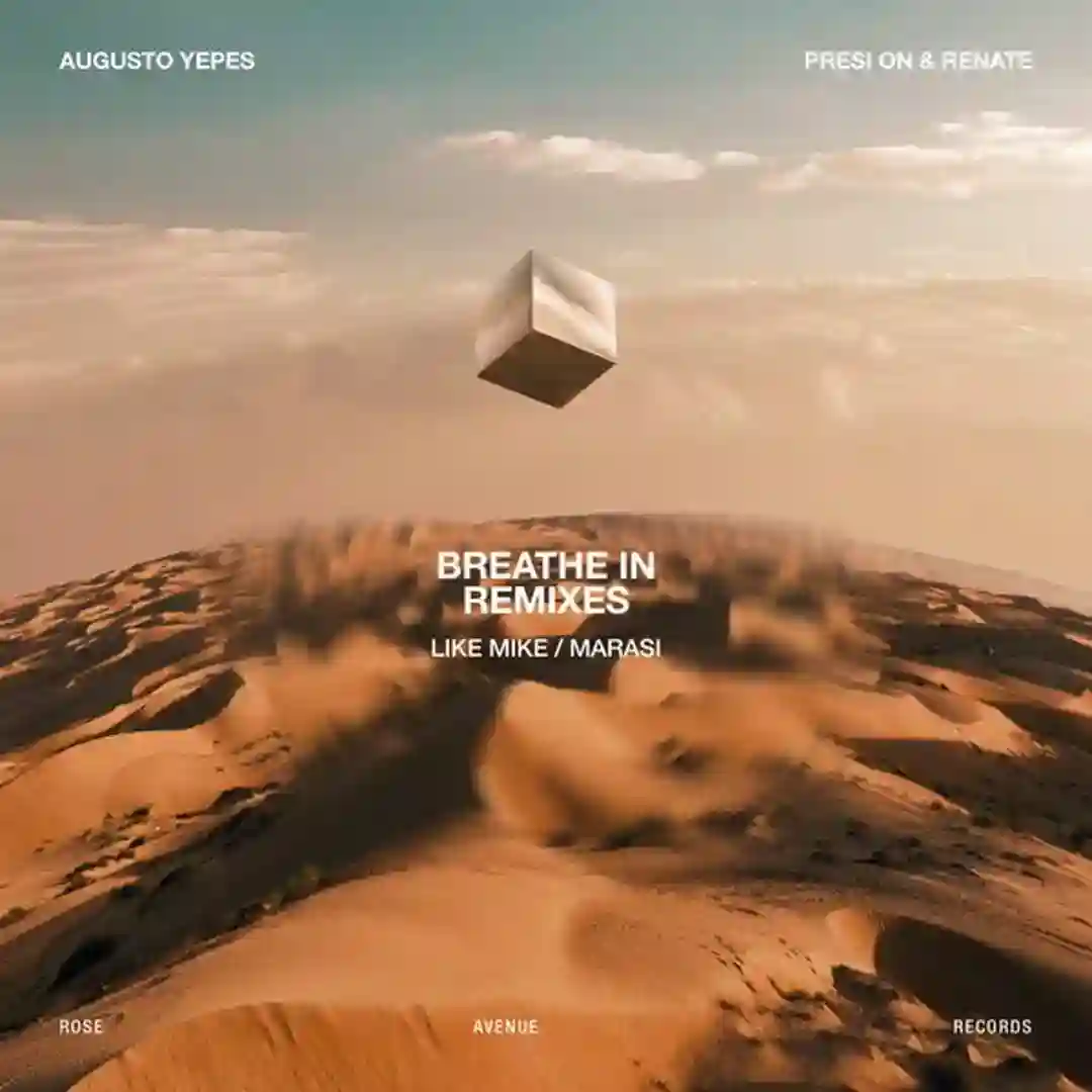 Breathe In - Like Mike Remix (Original Mix) cover