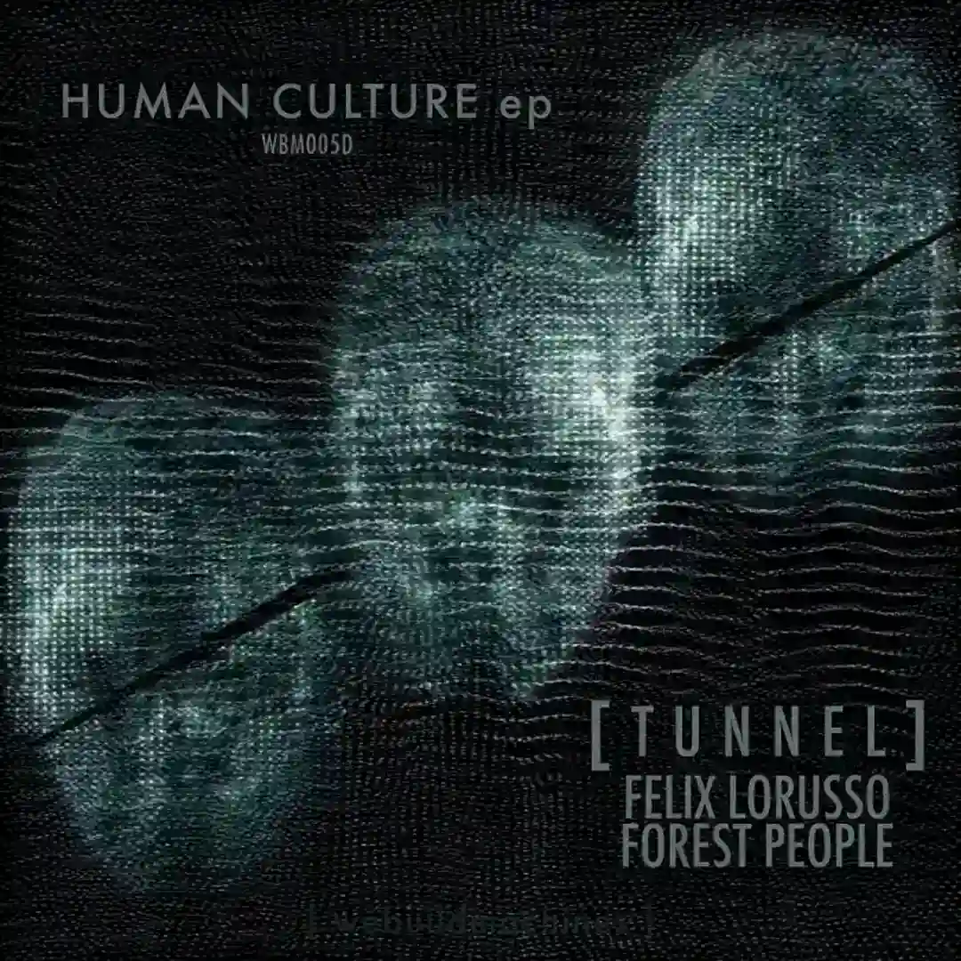 Human Culture (Felix Lorusso Remix) cover