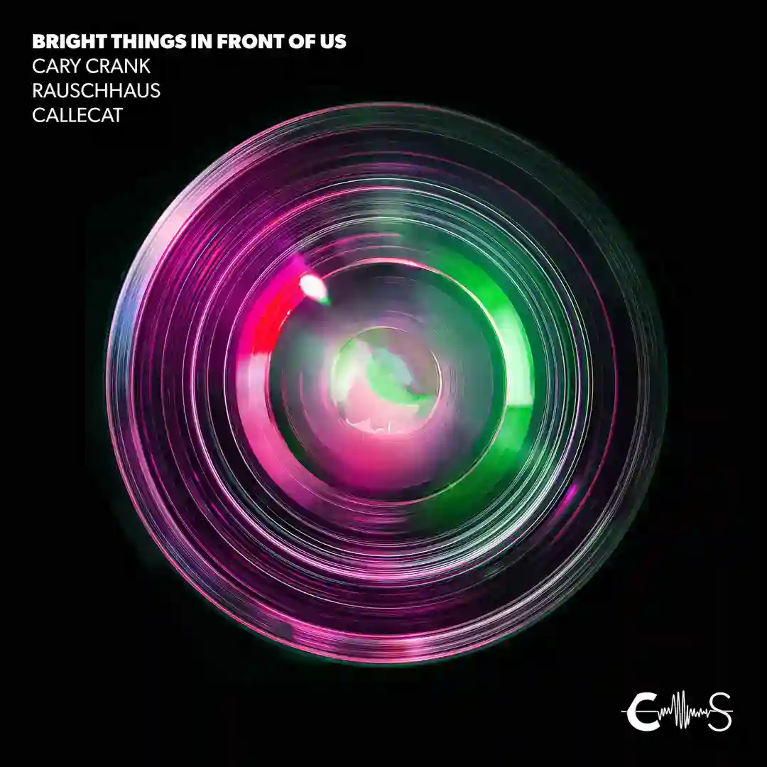 Bright Things in Front of Us (Callecat Remix) - Callecat Remix cover