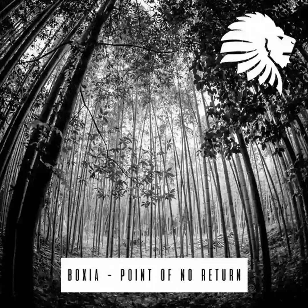 Point of No Return cover