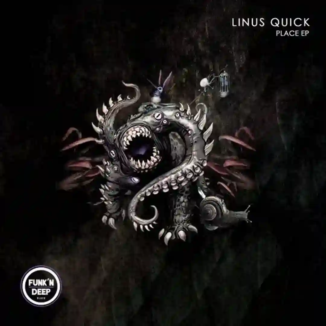 Die Bruecke (Original Mix) cover