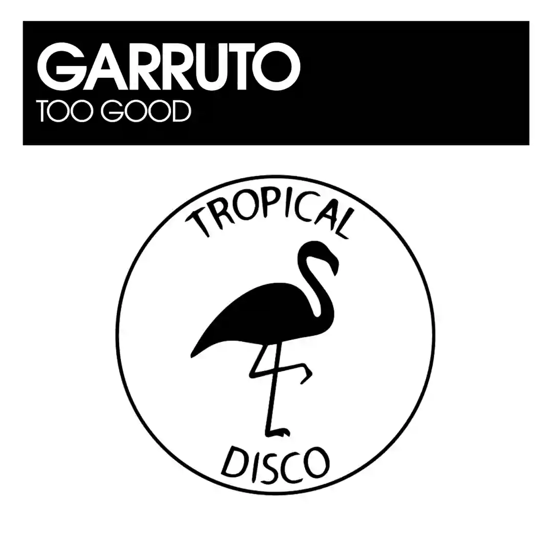 Too Good (Original Mix) cover