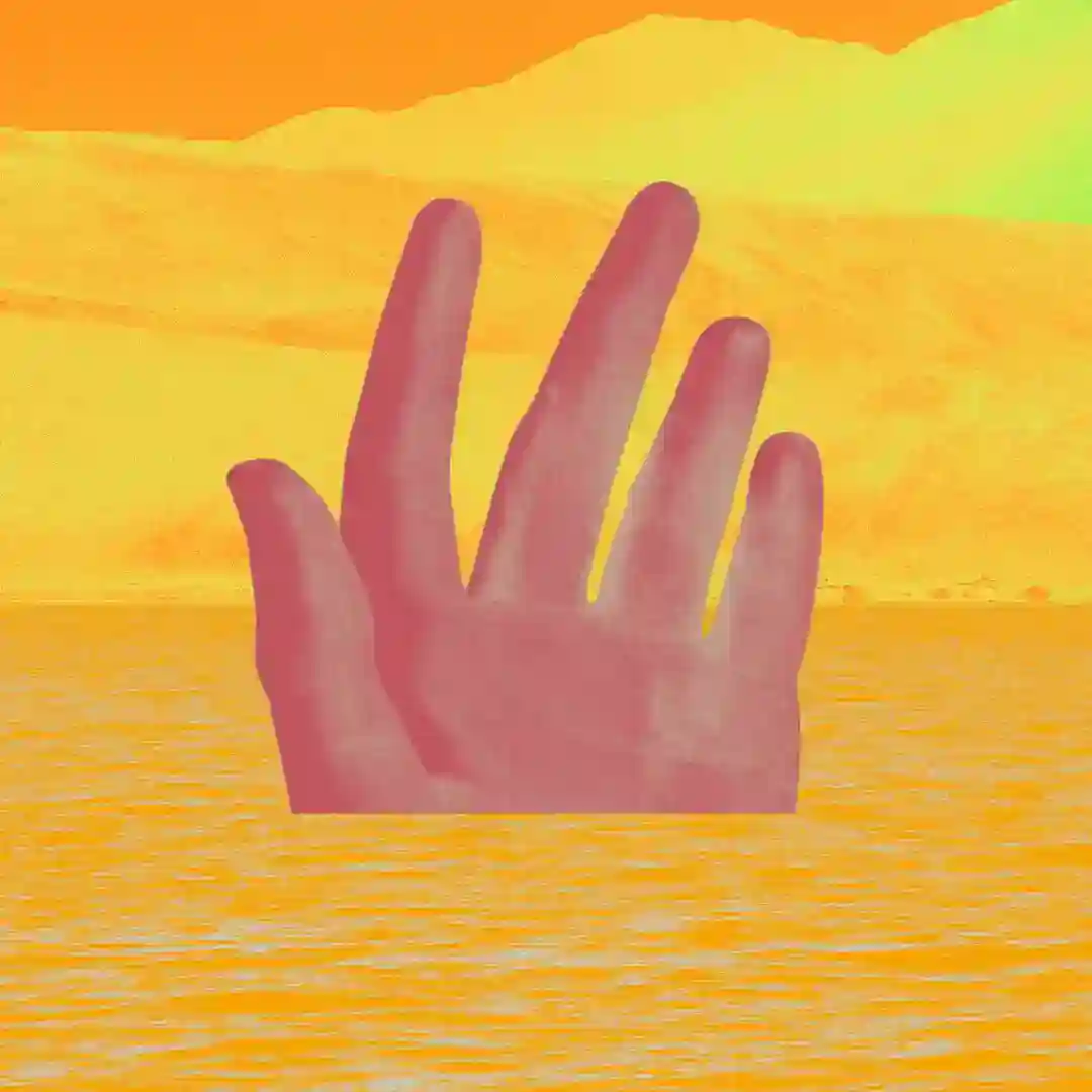 Prism cover