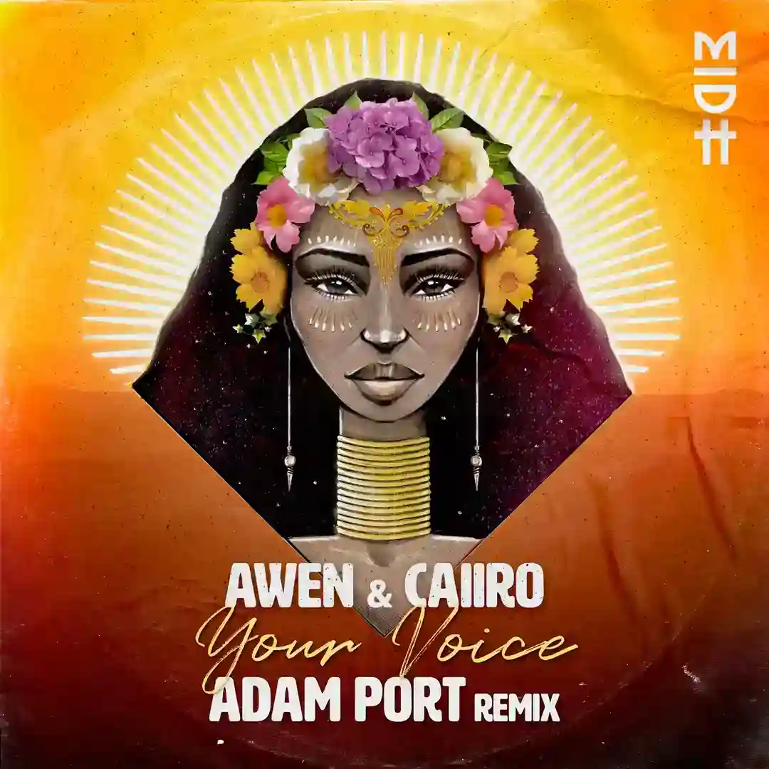 Your Voice (Adam Port Remix) cover