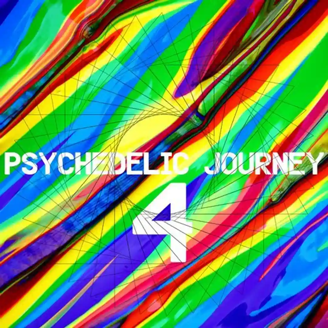 Psychedelic Journey 4 cover