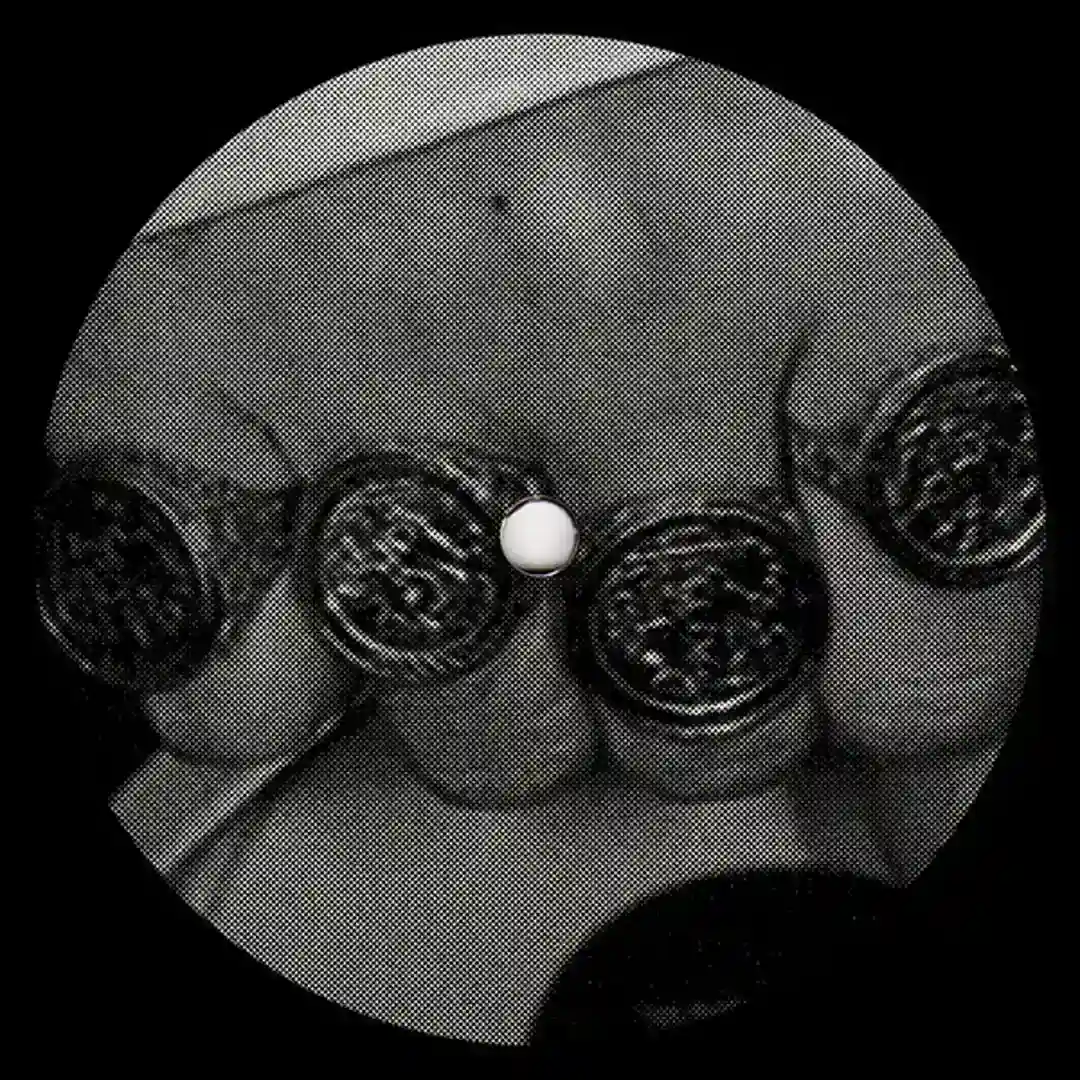 Old Red cover