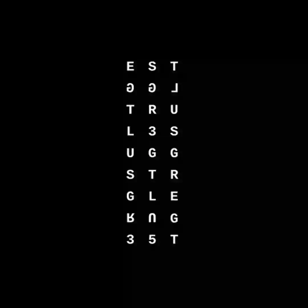 The Struggle cover