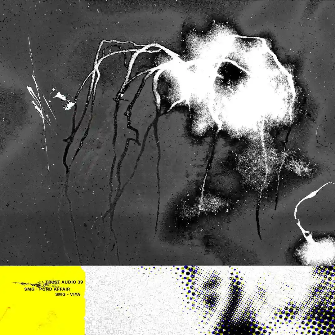 Pond Affair (Original Mix) cover