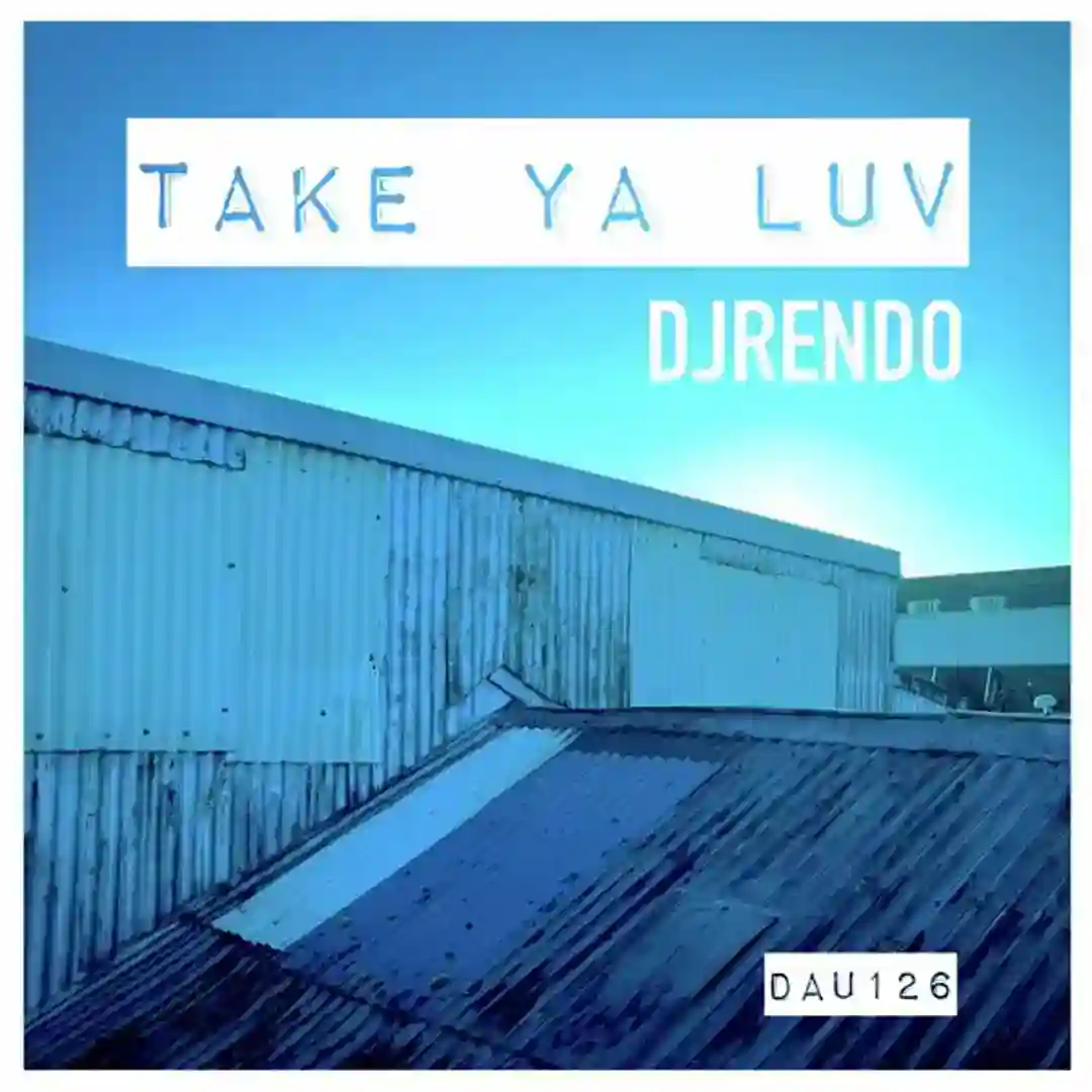 Take Ya Luv cover