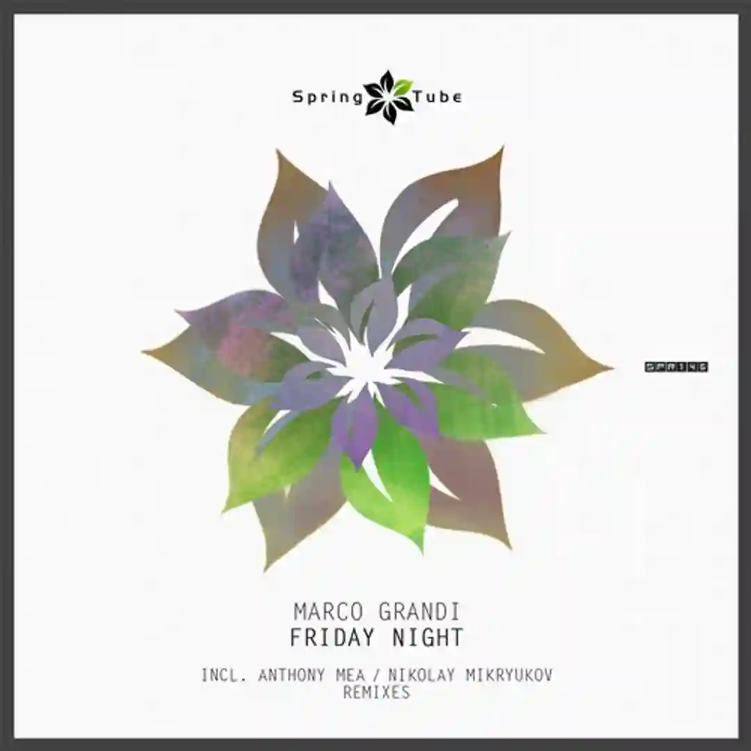 Friday Night (Original Mix) cover