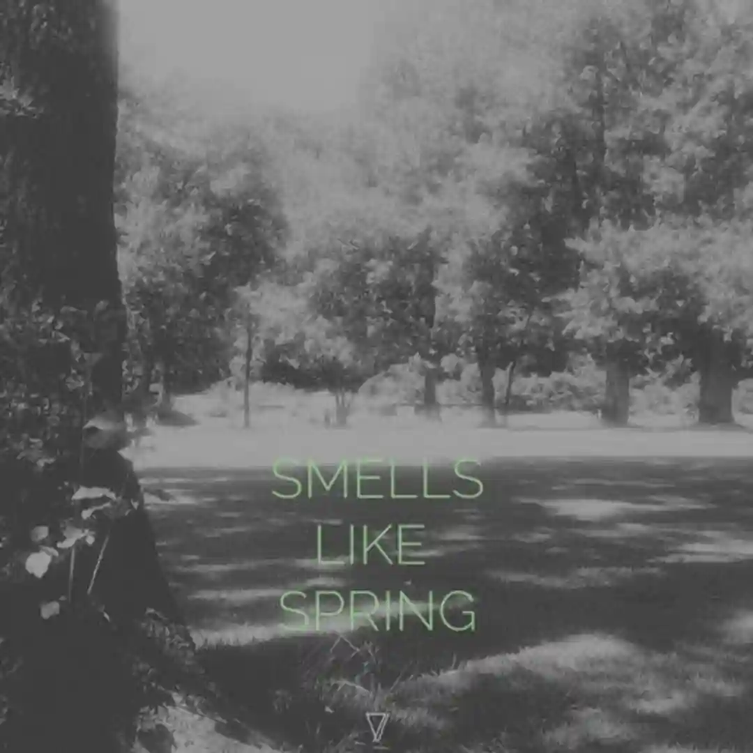 Ashtanga (Original Mix) cover