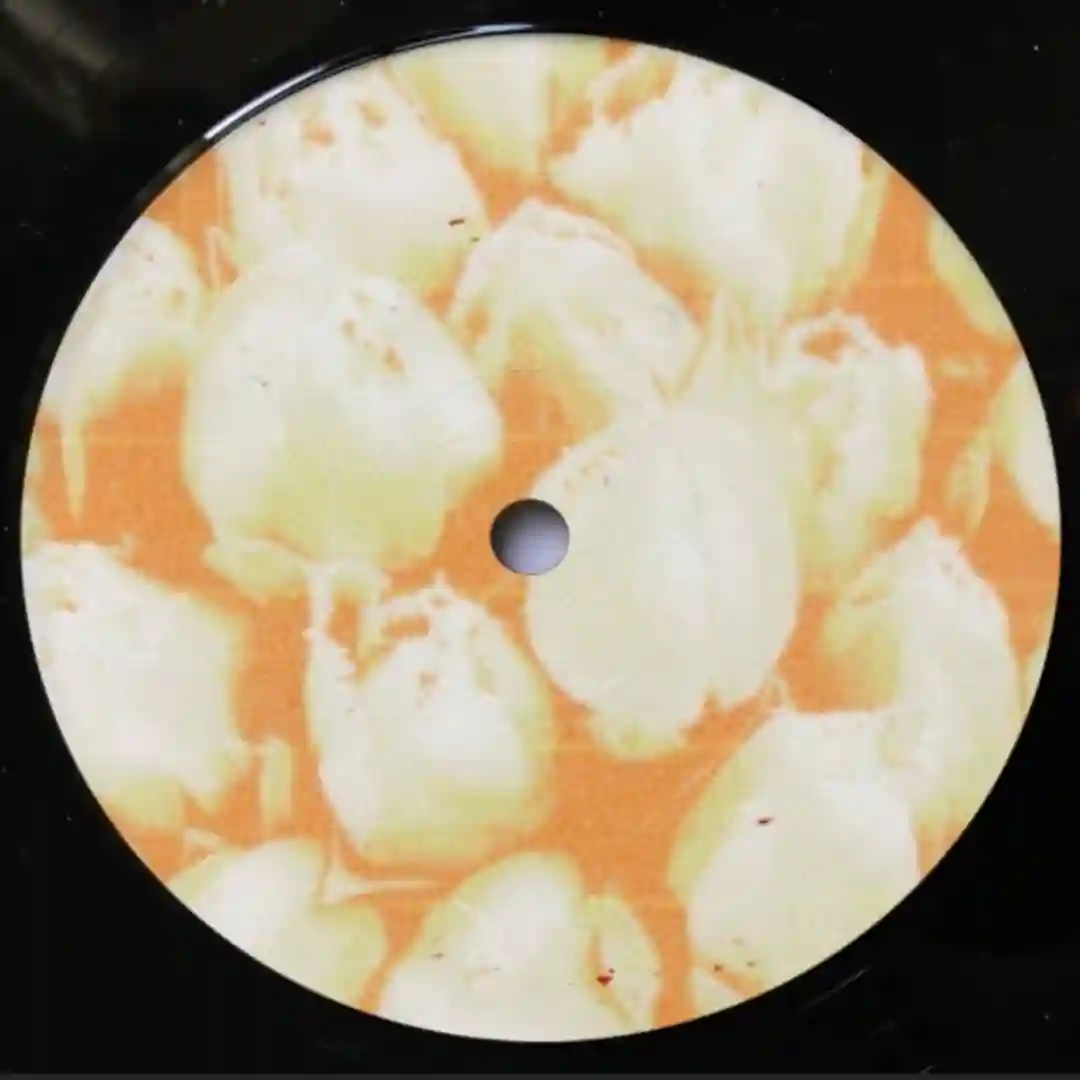 Tulip (Original Mix) cover