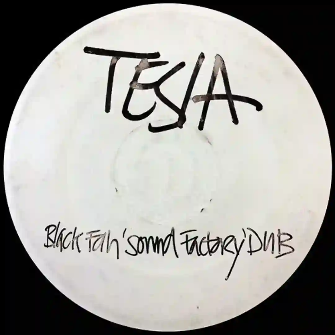 Tesla (Black Fan 'Sound Factory' Dub) cover