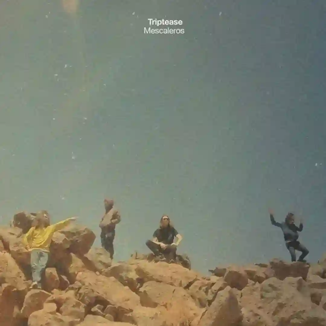 Teide (Original Mix) cover