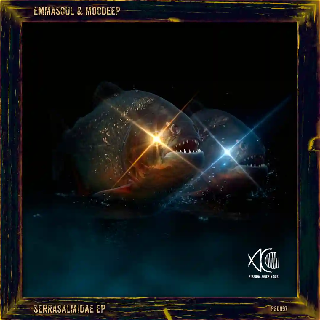 Paku 02 (Original Mix) cover