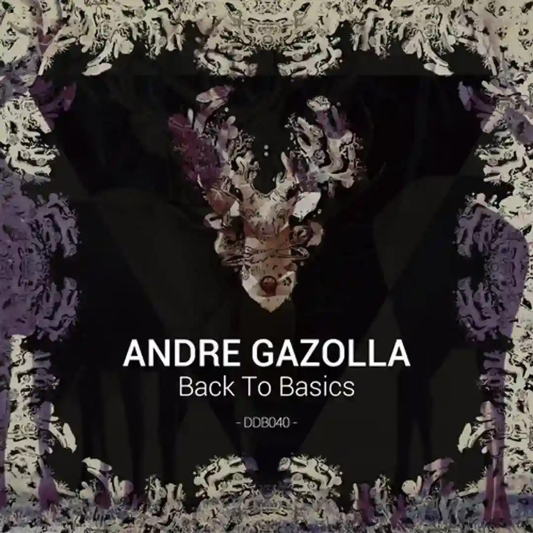 Inspection (Original Mix) cover