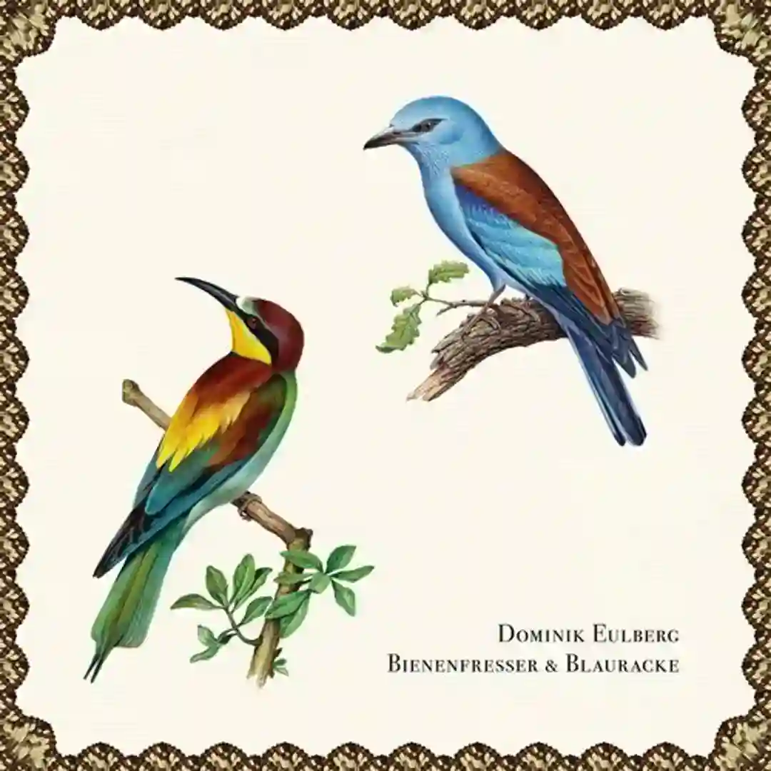 Bienenfresser (Original Mix) cover