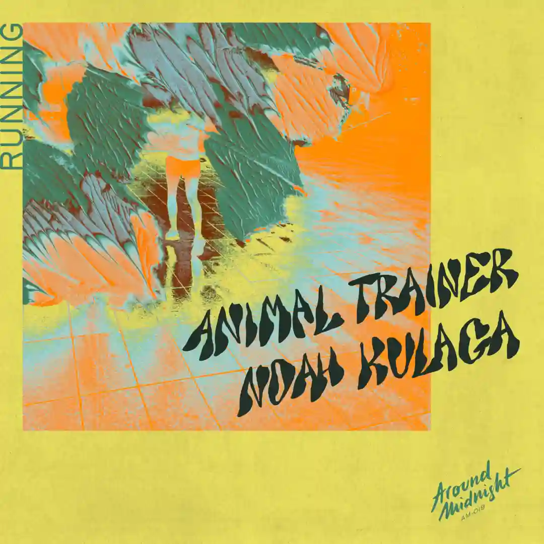 Running (Nandu Extended Remix) cover
