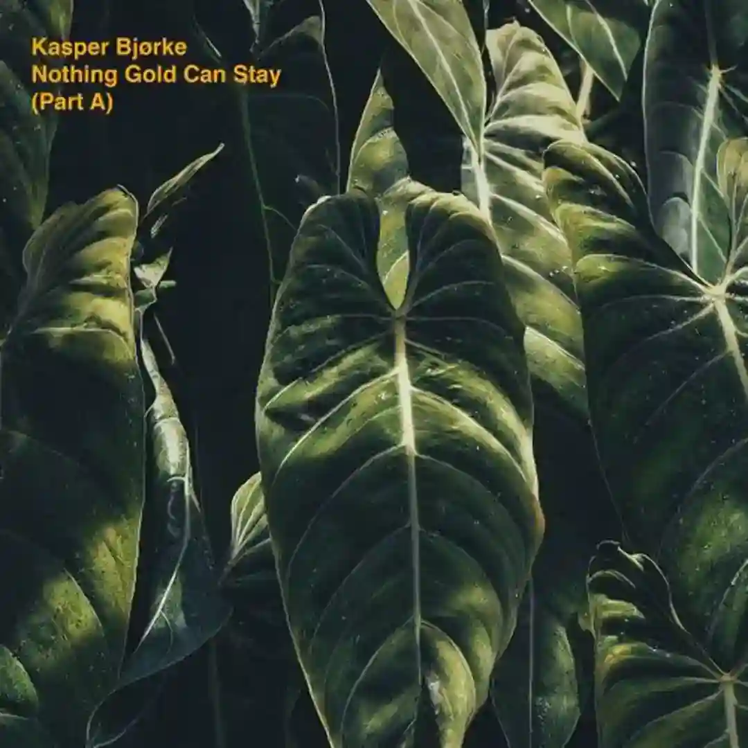 Seabird cover