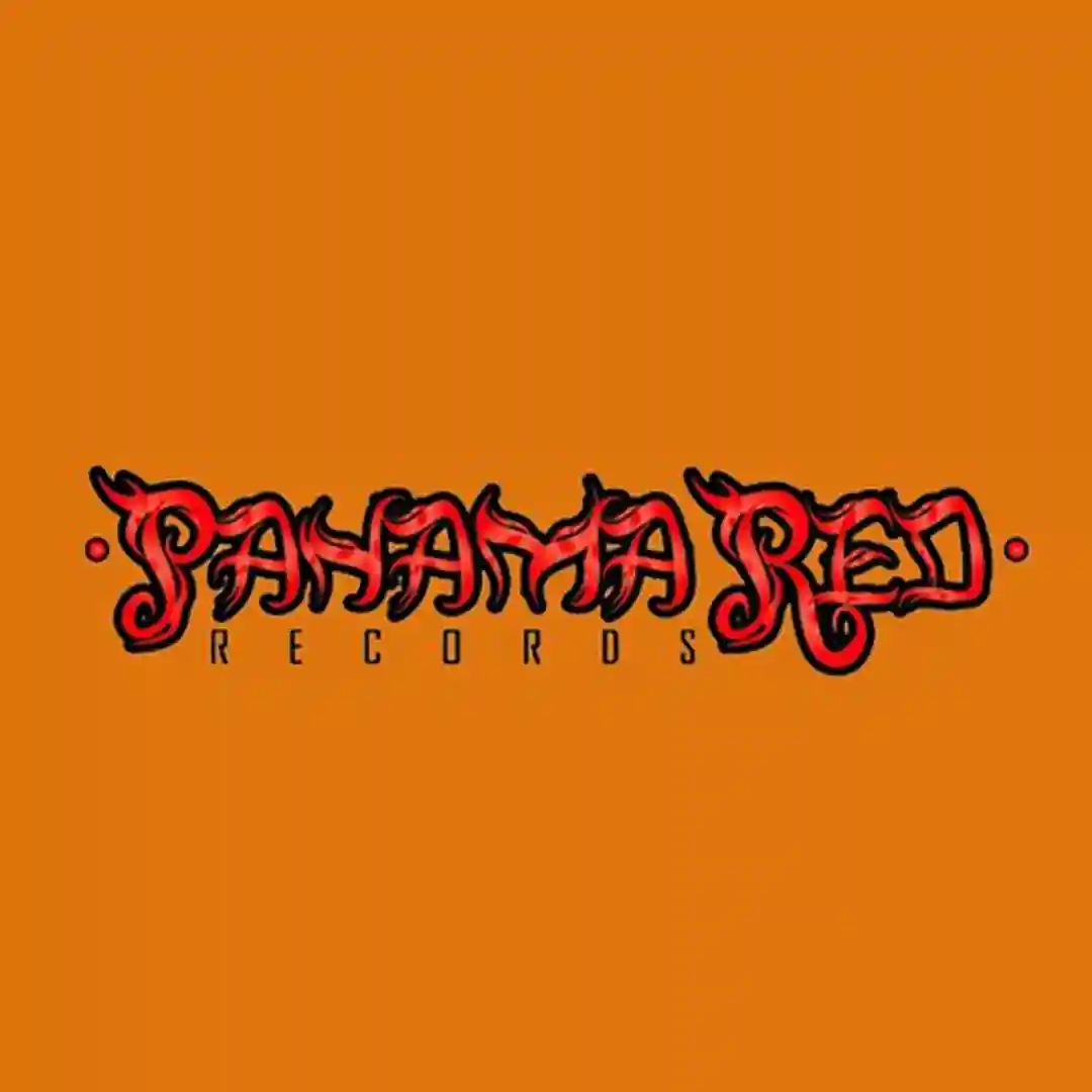 Step cover