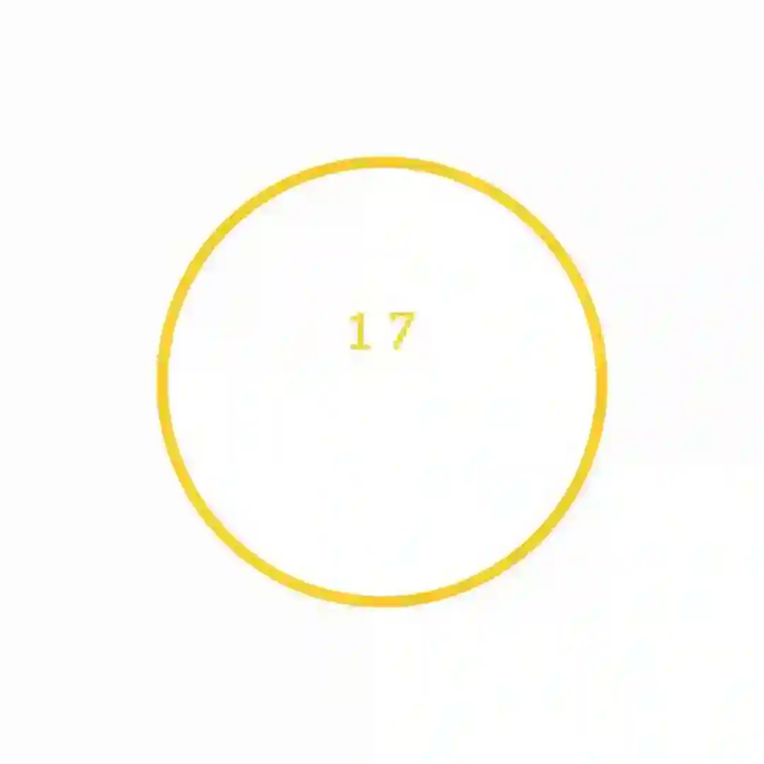 24 cover