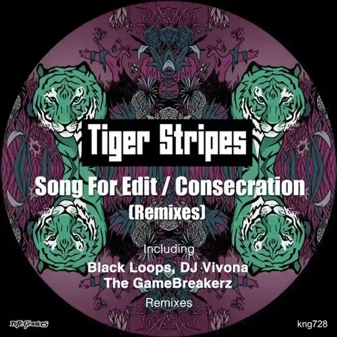 Consecration (The GameBreakerz Remix) cover