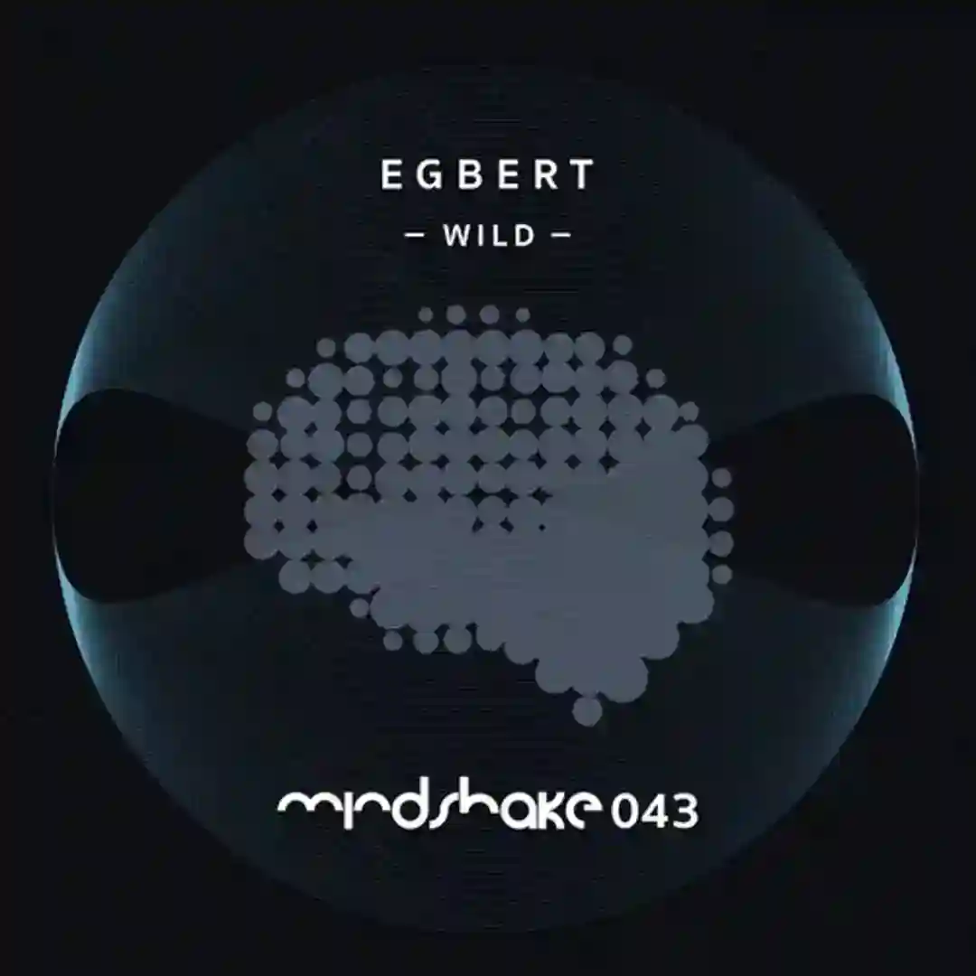 Controle (Original Mix) cover