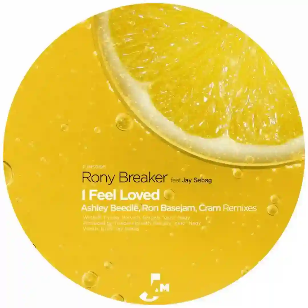 I Feel Loved cover