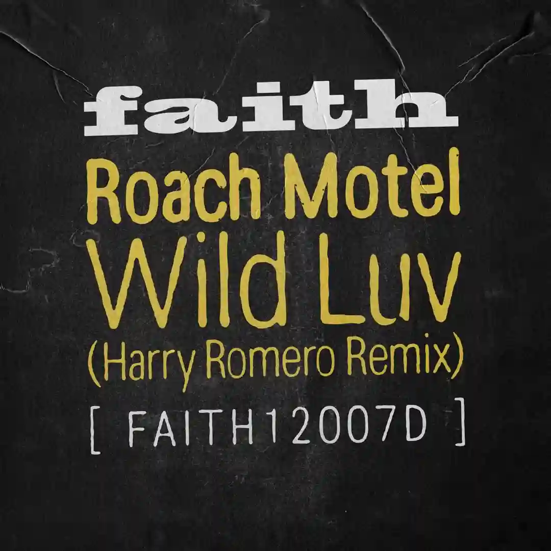 Wild Luv (Harry Romero Extended Remix) cover