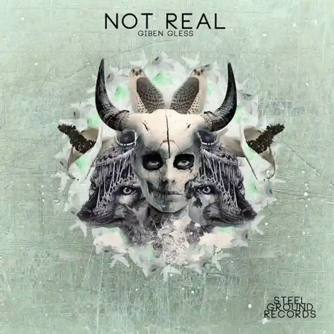 Not Real cover