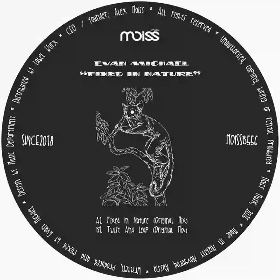 Twist And Leap (Original Mix) cover