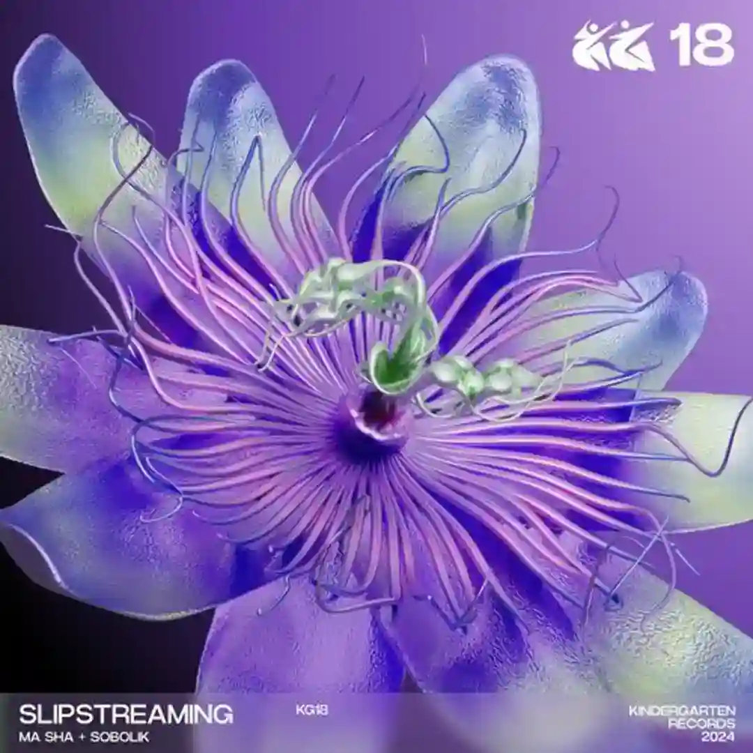 As A Metaphor cover