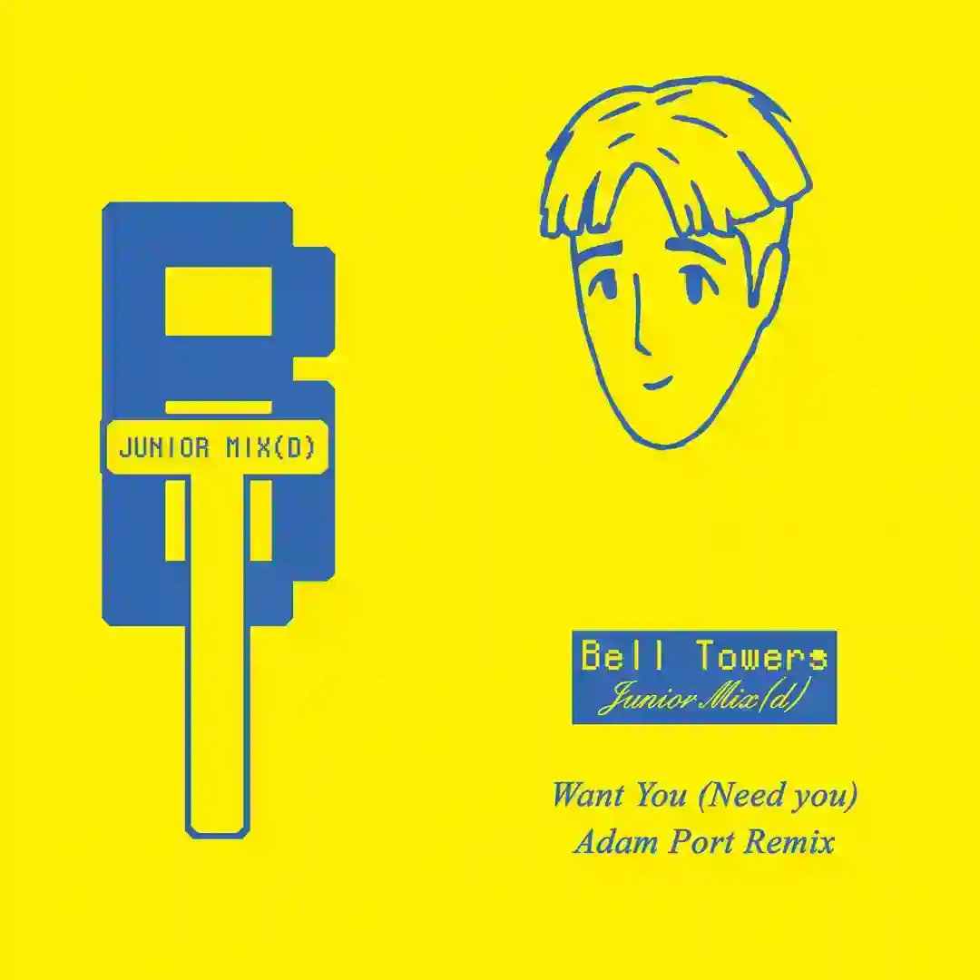 Want You (Need You) (Adam Port Remix) cover