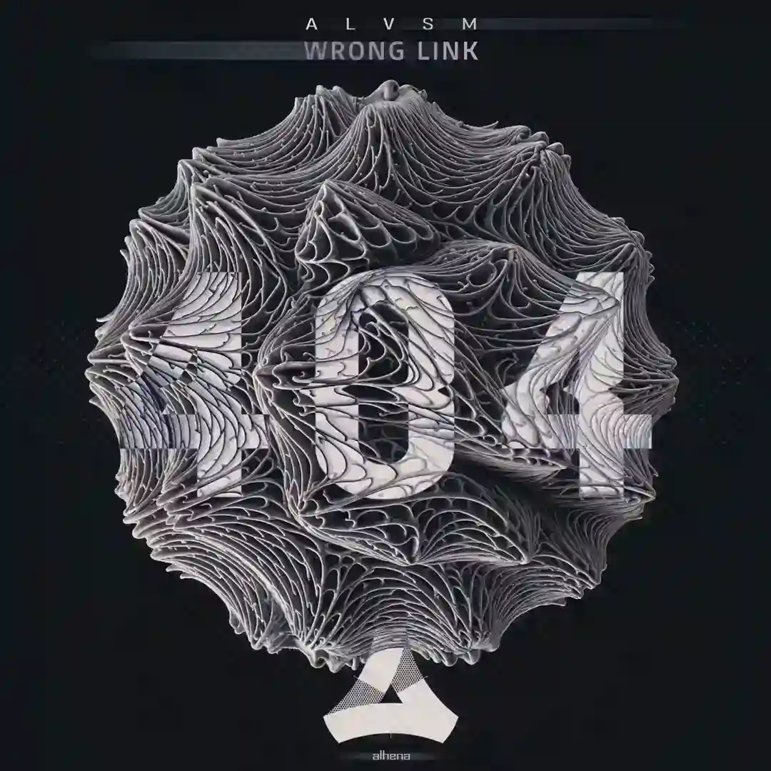 Wrong Link 2 (Original Mix) cover