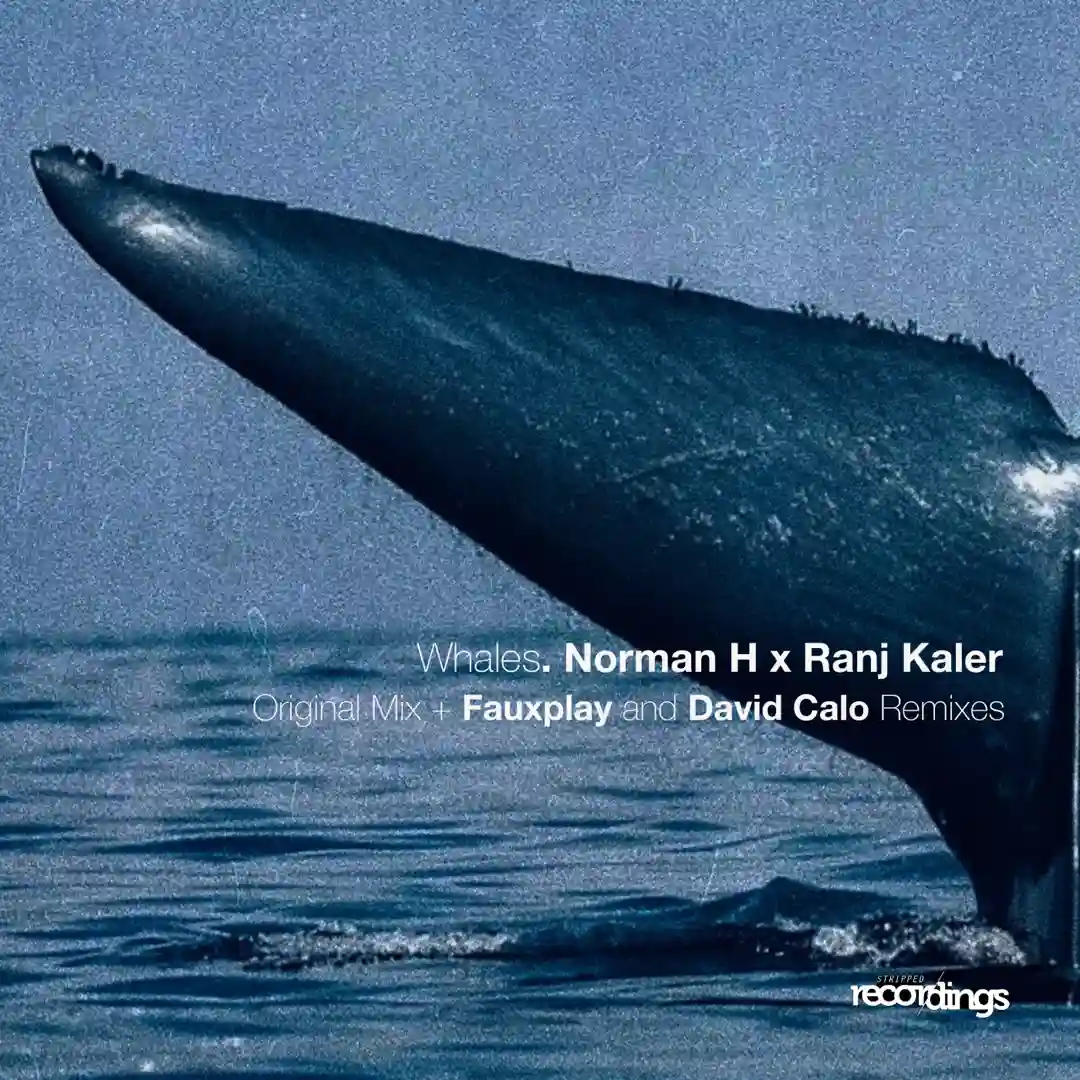 Whales cover