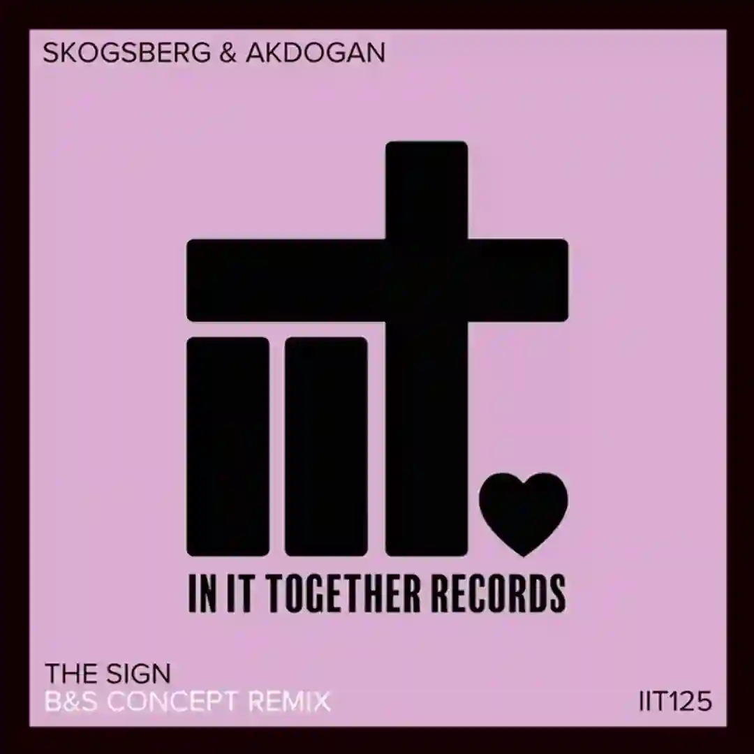 The Sign Remix cover