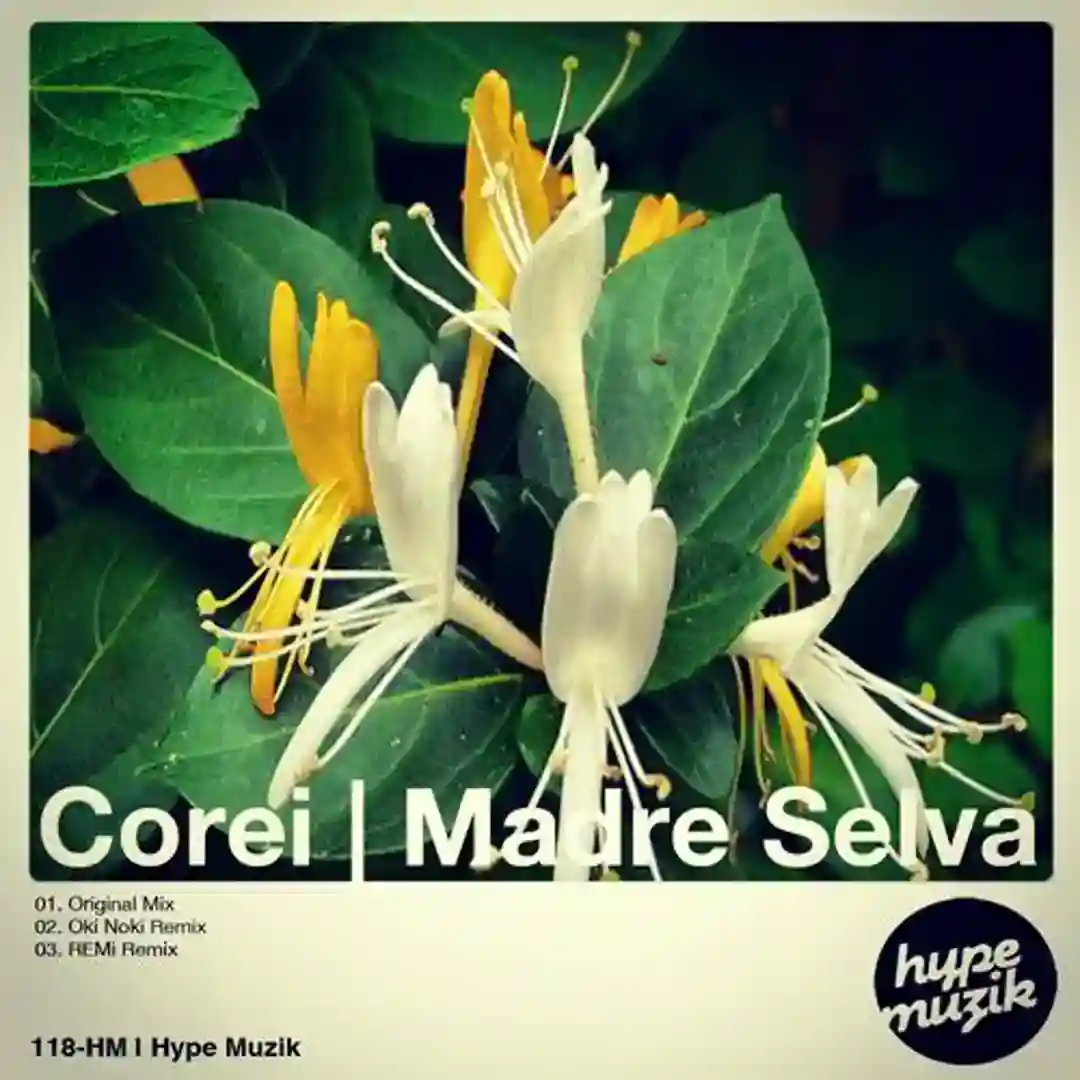 Madre Selva (Oki Noki Remix) cover