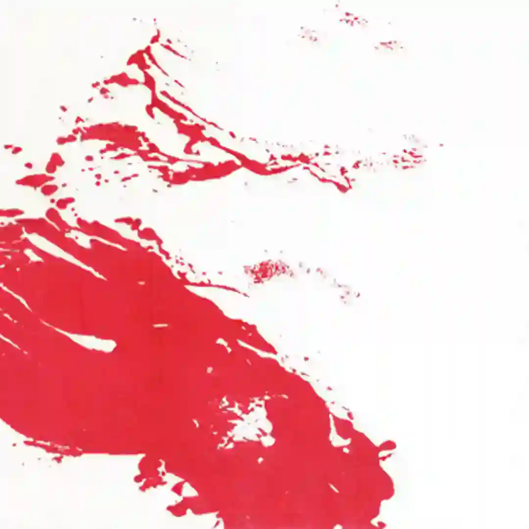 B1 cover