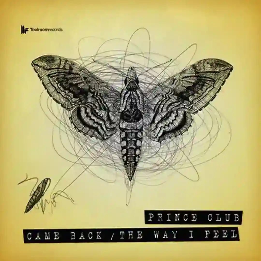 The Way I Feel cover