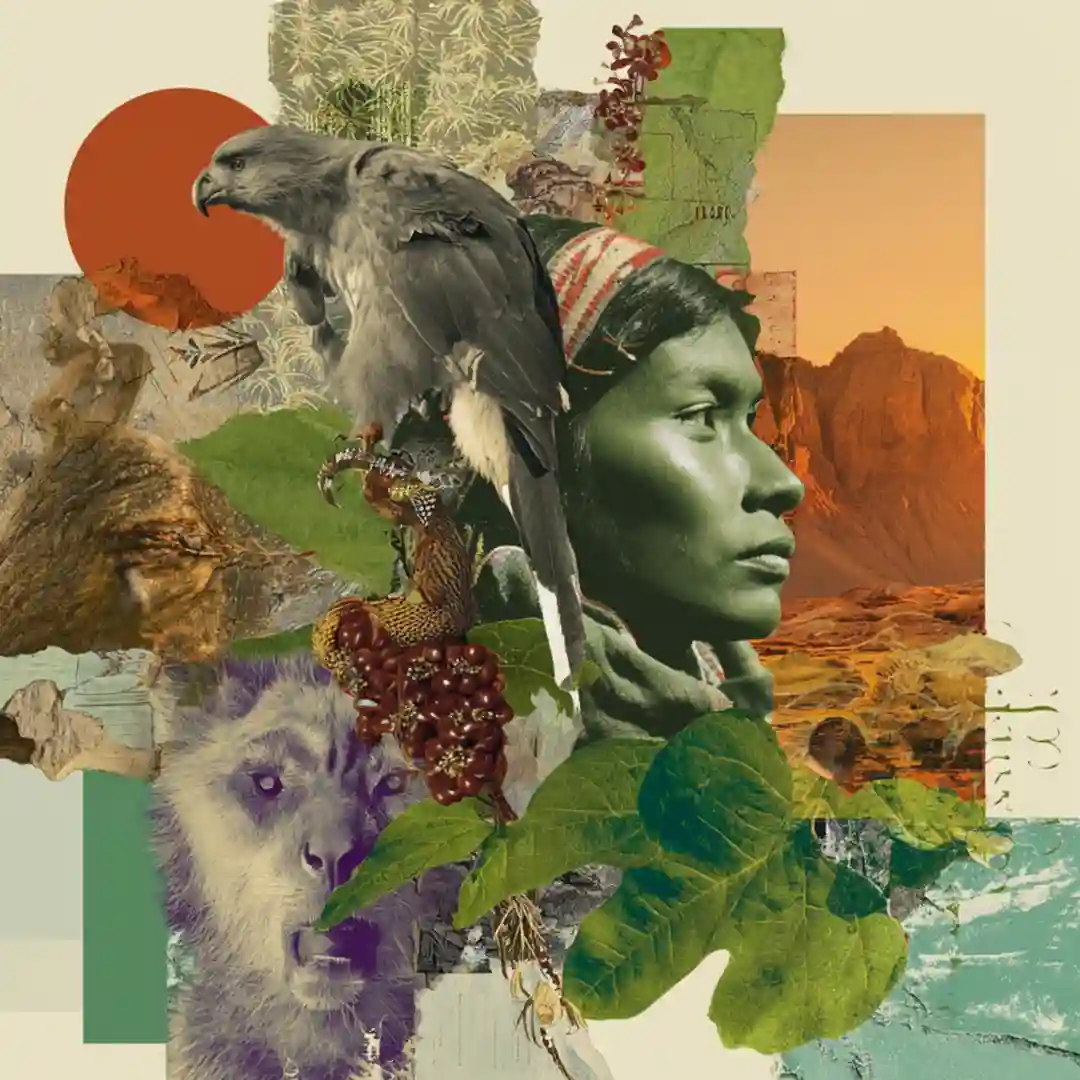BIOSPHERES REIMAGINED cover