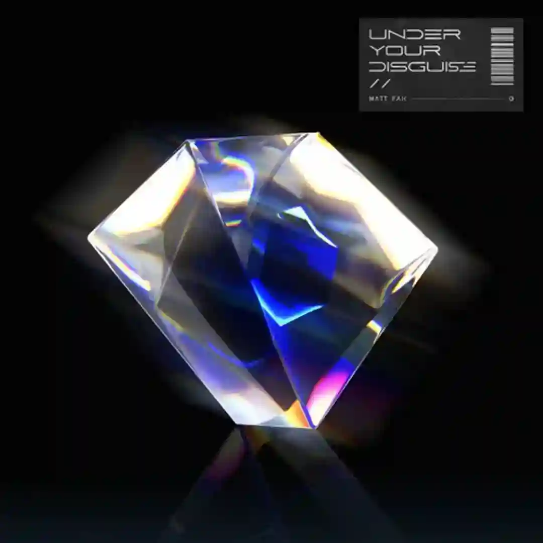 High & Dry cover