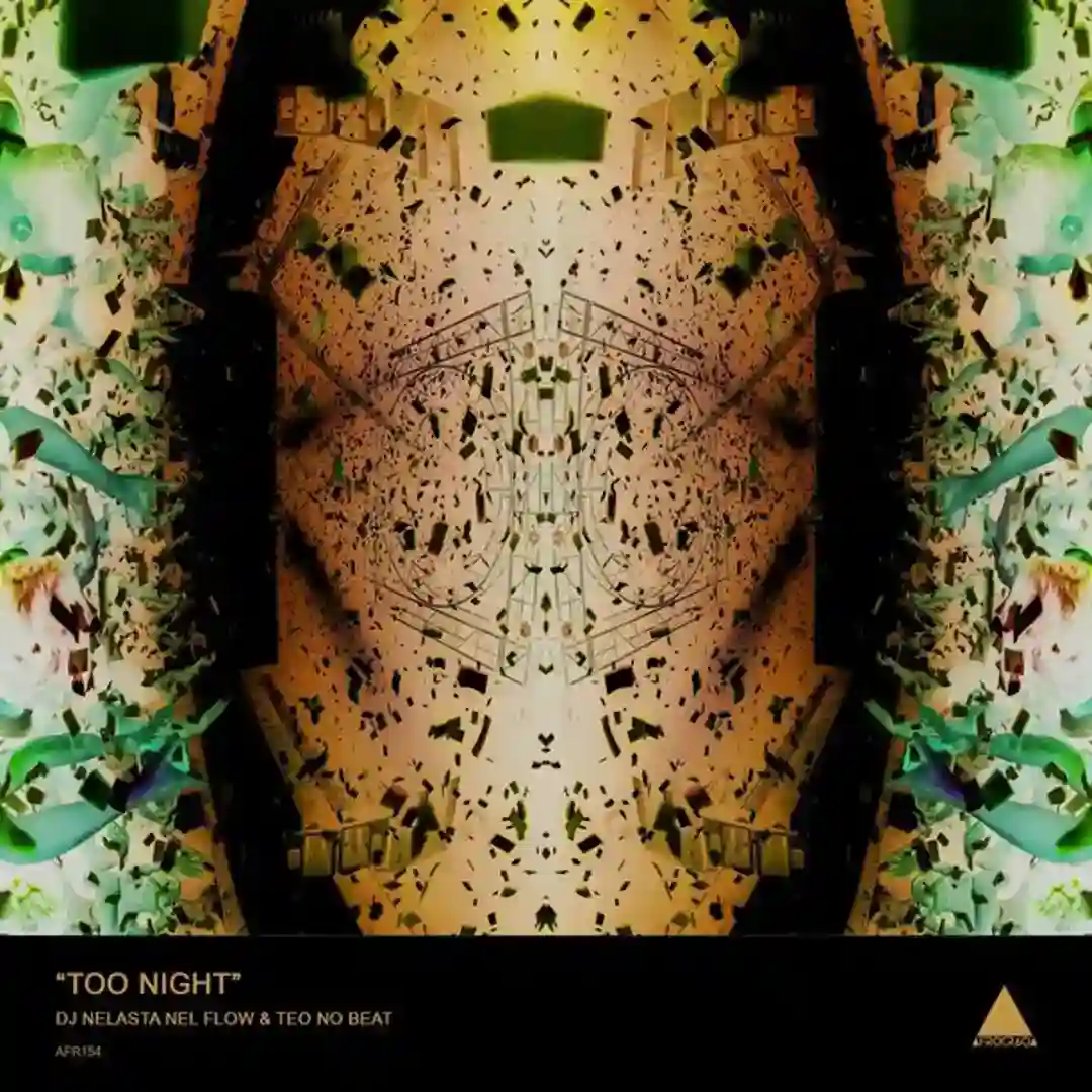 Too Night cover