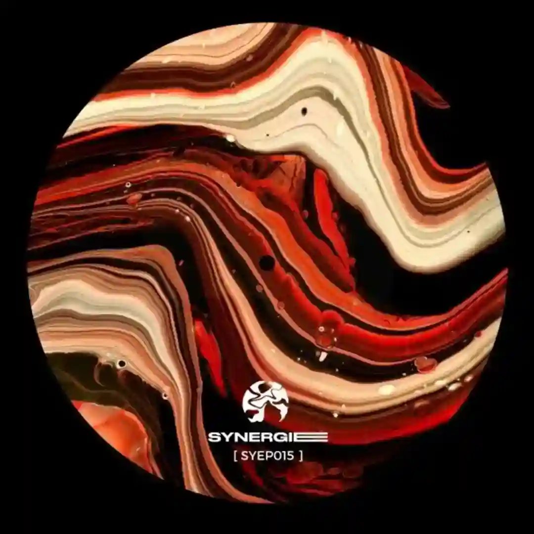Invariable (Syep015) cover
