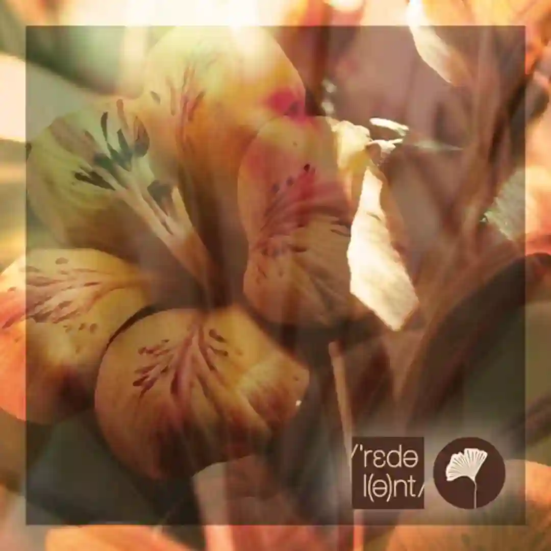 Balneario (Original Mix) cover
