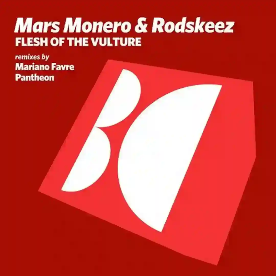 Flesh of the Vulture (Original Mix) cover