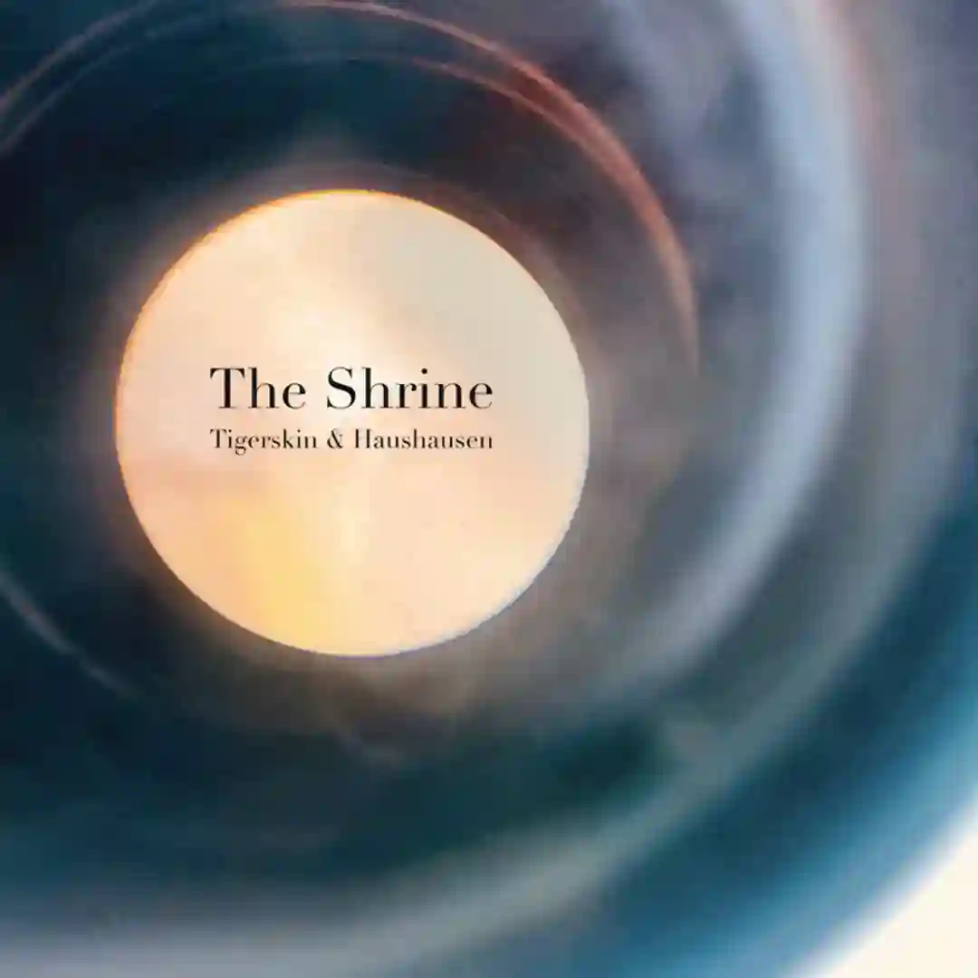 The Shrine (Original Mix) cover