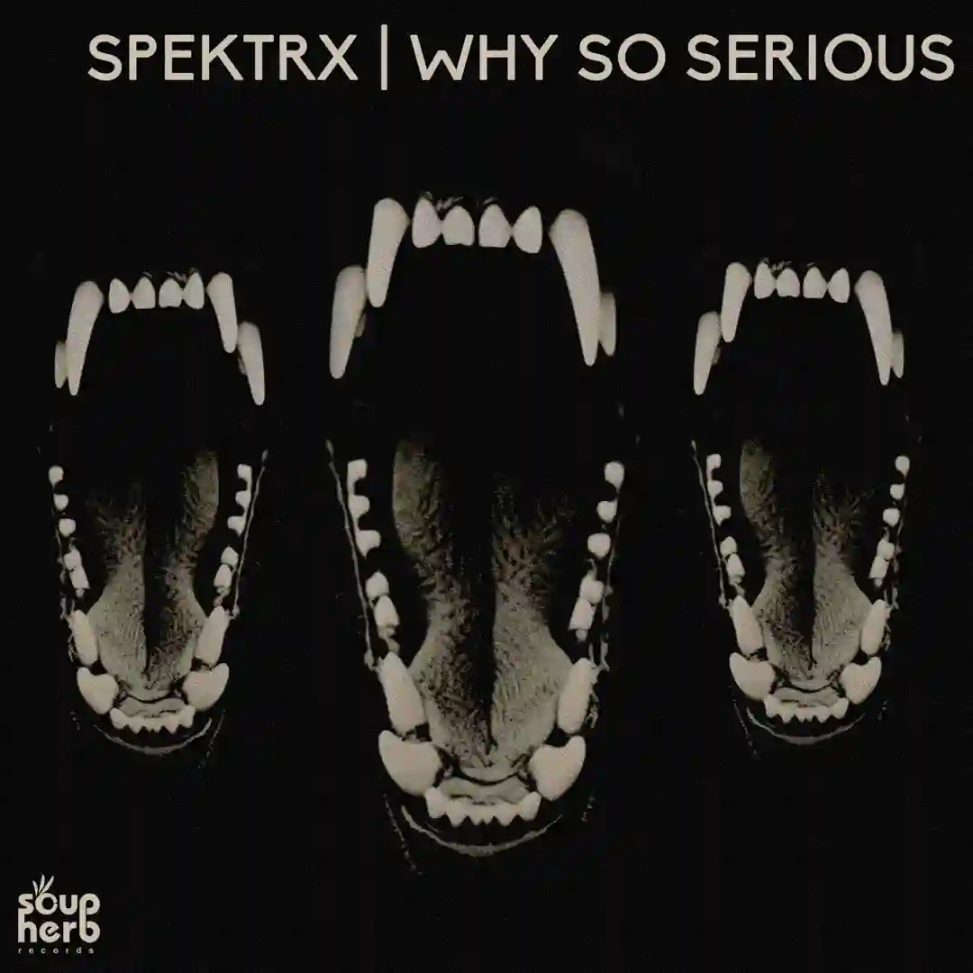 Mask (Original Mix) cover