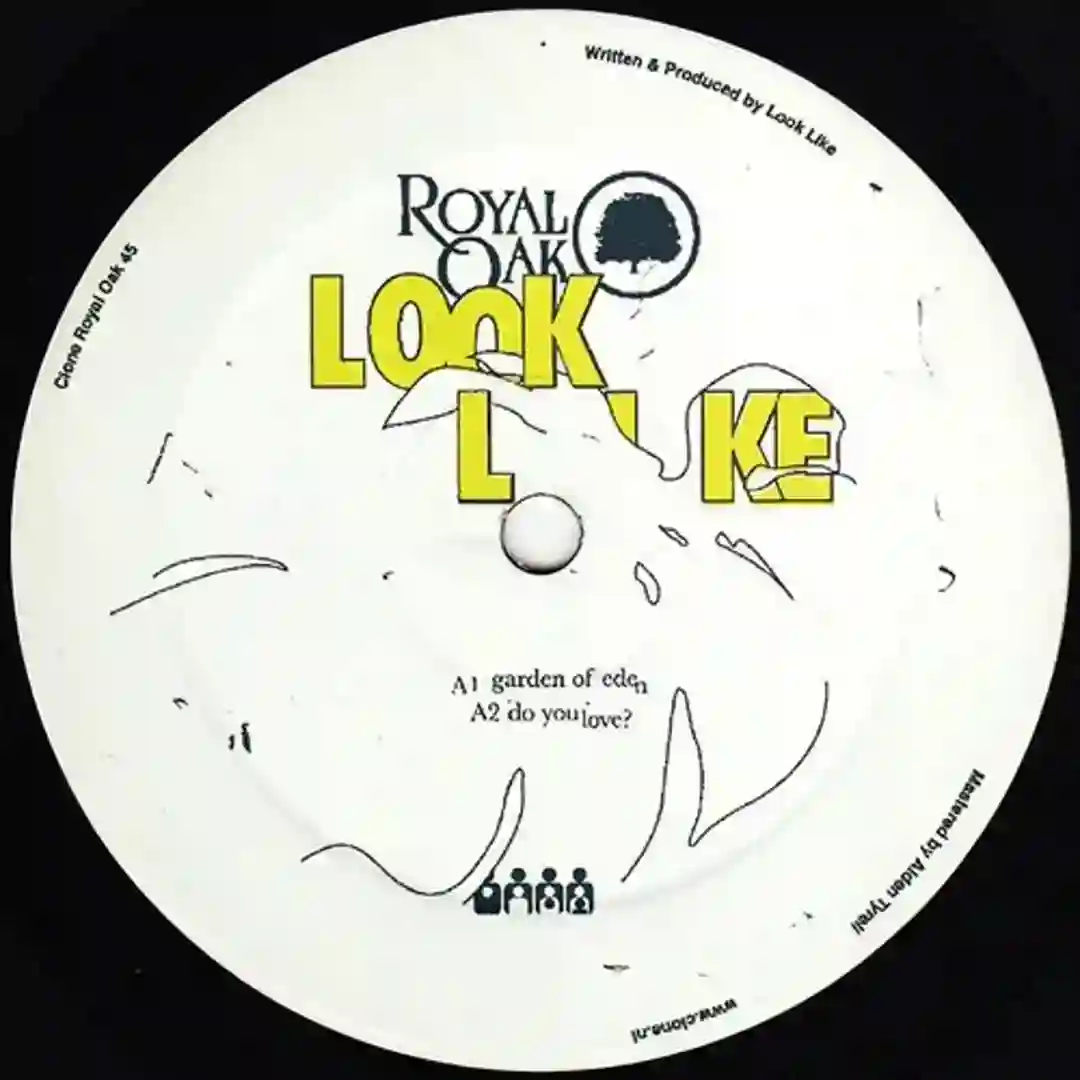 Do You Love? (Original Mix) cover