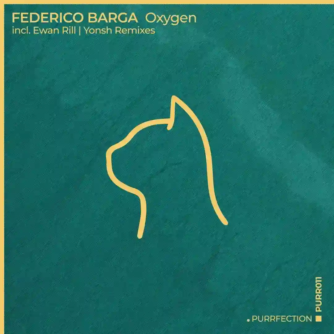 Oxygen (Original Mix) cover